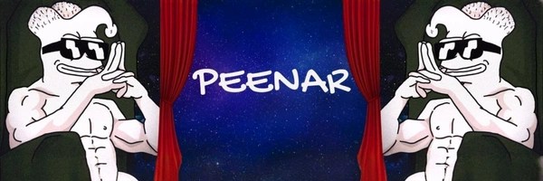 Peenar Token Header