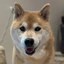Marutaro Icon