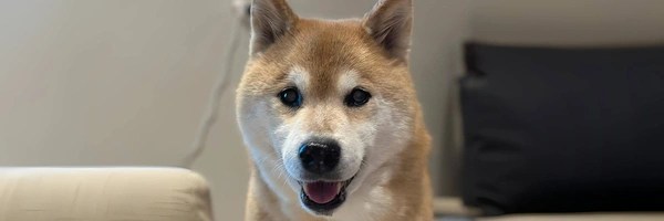 Marutaro Token Header