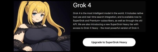 Aniplus Grok Companion Token Header