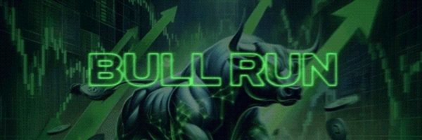 BULL RUN Token Header