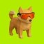 bog Icon