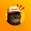 Tapsi Icon