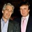 @TrumpEpsteinBot Icon