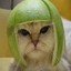 Limecat Icon