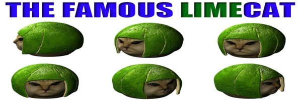 Limecat Token Header
