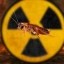 The Last Runner Icon