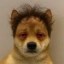 unempawed Icon