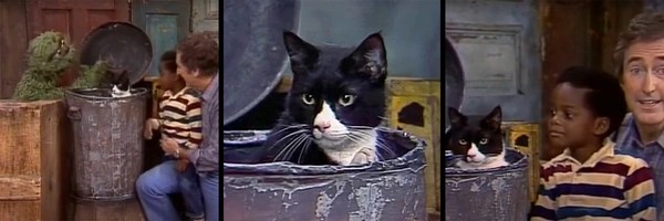 Gorbagana's Cat Token Header