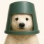 Bucket Hat Icon