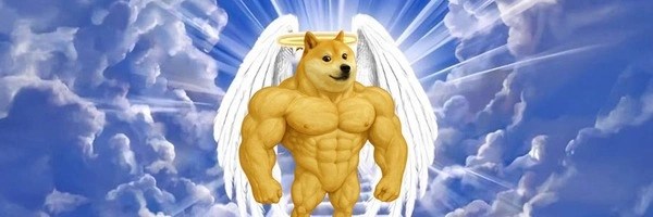 SWOLE DOGE Token Header