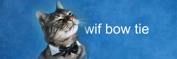 cat wif bow tie Token Header