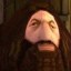 ps1 hagrid Icon