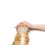 wen i see a cat Icon