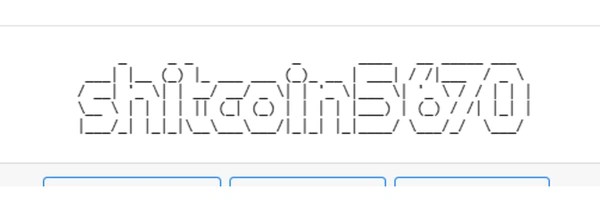 shitcoin5670 Token Header