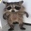 Lil Bandit Icon