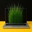 Digital Grass Icon
