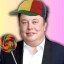sowwy Icon