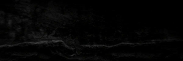 HOUSE OF MEMES Token Header