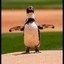 pepe the penguin Icon