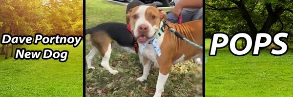 Dave Portnoy New Dog Token Header
