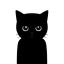 noir Icon