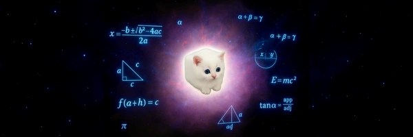 cube cat Token Header