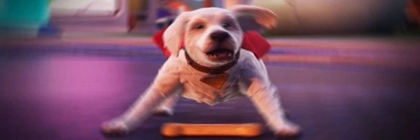 New Fortnite Dog Token Header