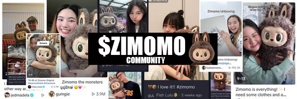 ZIMOMO Token Header