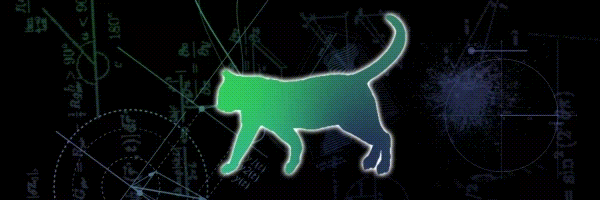 QUANTUM SCHRÖDINGE Token Header