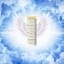 Flying Angelic Xanax Icon