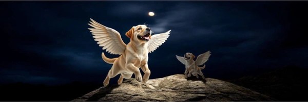 A flying dog Token Header