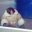Alex the Artic Monkey Icon