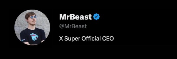 X Super Official CEO Token Header