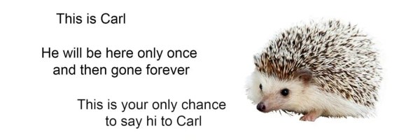 Carl Token Header