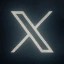 X Icon