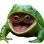 popfrog Icon