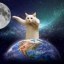 Longcat Icon