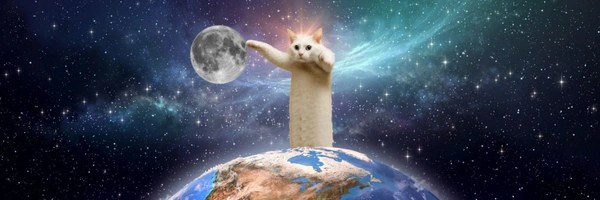 Longcat Token Header
