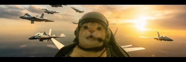 Cat On Duty Token Header
