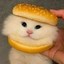 burger cat Icon