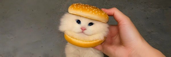 burger cat Token Header