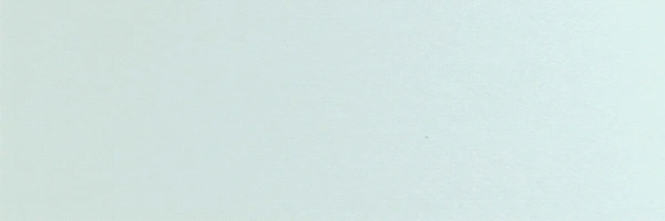 Cancel Culture Token Header