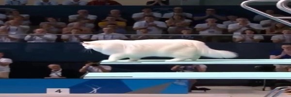Kitty Olympics Token Header