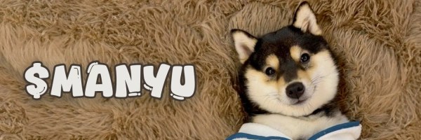 littlemanyu Token Header