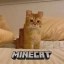 minecat Icon