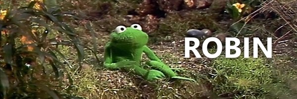 robin the frog Token Header