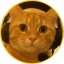 catwifnomask Icon