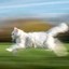 accelerate Icon