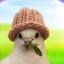 peacewifhat Icon